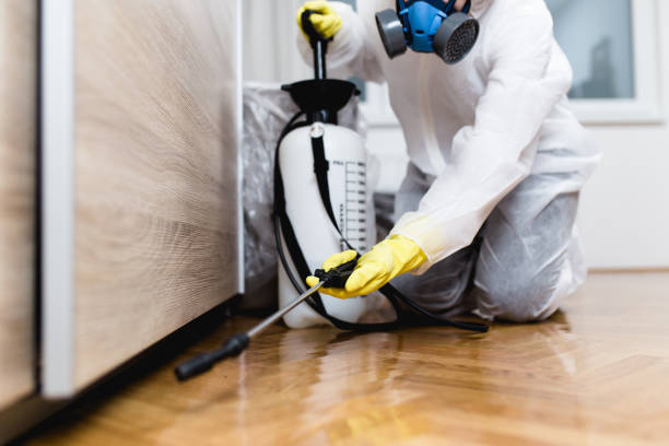Wasp Removal Services in Dothan, AL