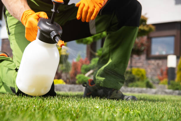 Best Pest Prevention Services  in Dothan, AL