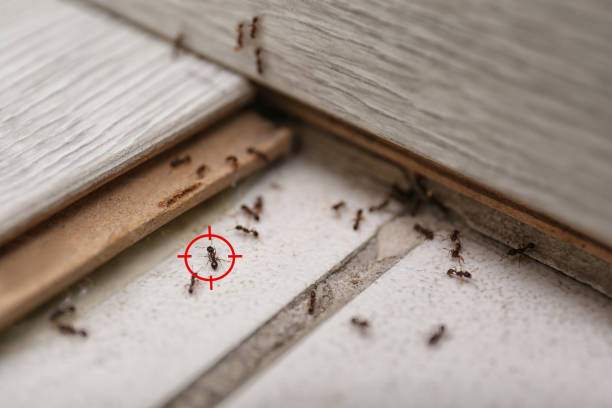 Dothan, AL Pest Control Company