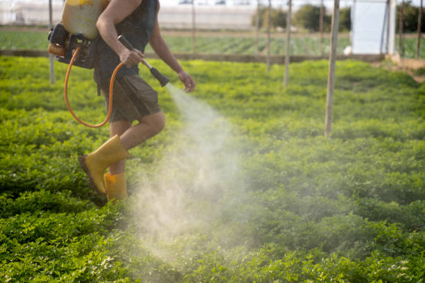 Pest Control Cost in Dothan, AL