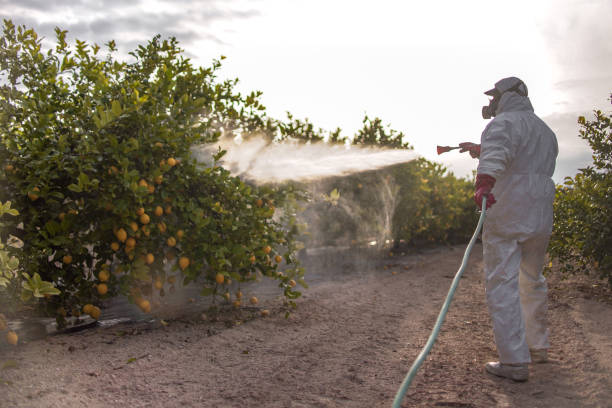 Best Best Pest Control Companies  in Dothan, AL