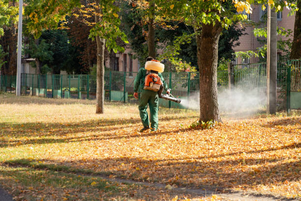 Professional Pest Control in Dothan, AL