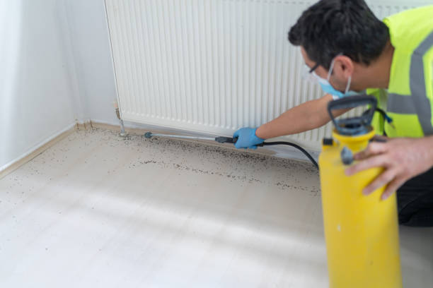 Best Bed Bug Extermination  in Dothan, AL
